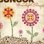 Der musikalische text YOU HAVE ME von GUNGOR ist auch in dem Album vorhanden Beautiful things (2010)