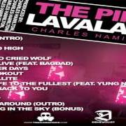Der musikalische text VOICES von CHARLES HAMILTON ist auch in dem Album vorhanden The pink lavalamp (2008)
