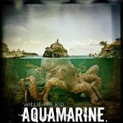Der musikalische text AQUAHYDRATE von WILLIE THE KID ist auch in dem Album vorhanden Aquamarine (2013)