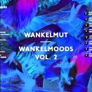 Der musikalische text ORDINARY von WANKELMUT ist auch in dem Album vorhanden Wankelmoods vol.2 (2014)