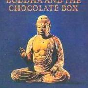 Der musikalische text JESUS von CAT STEVENS ist auch in dem Album vorhanden Buddha and the chocolate box (1974)