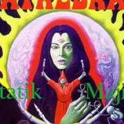 Der musikalische text THE VOYAGE OF THE HOMELESS SAPIEN von CATHEDRAL ist auch in dem Album vorhanden Statik majik (1994)