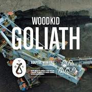 Der musikalische text GOLIATH von WOODKID ist auch in dem Album vorhanden S16 (2020)