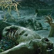Der musikalische text KINGDOM OF TYRANTS von CATTLE DECAPITATION ist auch in dem Album vorhanden The anthropocene extinction (2015)