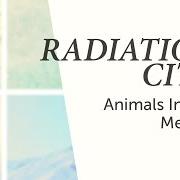 Der musikalische text ENTROPIA von RADIATION CITY ist auch in dem Album vorhanden Animals in the median (2013)