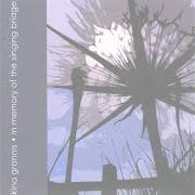 Der musikalische text BREATHE HONESTY von KINA GRANNIS ist auch in dem Album vorhanden In memory of the singing bridge (2006)