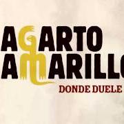Der musikalische text PARTE DE MI von LAGARTO AMARILLO ist auch in dem Album vorhanden Estoy mintiendo de verdad (2012)
