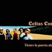 Der musikalische text DOCTOR ORFIDAL von CELTAS CORTOS ist auch in dem Album vorhanden Tienes la puerta abierta (1999)