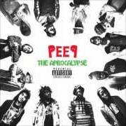 Der musikalische text THE RENAISSANCE von PRO.ERA ist auch in dem Album vorhanden Peep: the aprocalypse (2012)