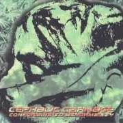 Der musikalische text A.Z.T. von CEPHALIC CARNAGE ist auch in dem Album vorhanden Conforming to abnormality (1998)