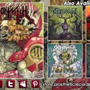 Der musikalische text I AM OF DEATH (HELL HAS ARRIVED) von SKELETONWITCH ist auch in dem Album vorhanden Serpents unleashed (2013)