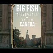 Der musikalische text BALLARE von BIG FISH ist auch in dem Album vorhanden Niente di personale (2013)