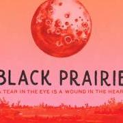 Der musikalische text NOWHERE, MASSACHUSETTS von BLACK PRAIRIE ist auch in dem Album vorhanden A tear in the eye is a wound in the heart (2012)