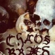 Der musikalische text FACES OF DEATH von CHAOSBREED ist auch in dem Album vorhanden Brutal (2004)