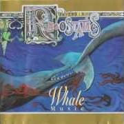 Der musikalische text RAIN, RAIN, RAIN von RHEOSTATICS ist auch in dem Album vorhanden Whale music (2013)