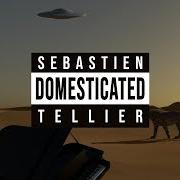 Der musikalische text ATOMIC SMILE von SÉBASTIEN TELLIER ist auch in dem Album vorhanden Domesticated (2020)