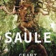 Der musikalische text RIEN QUE POUR SOI von SAULE ist auch in dem Album vorhanden Géant (2013)