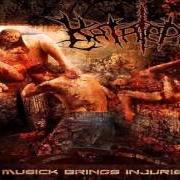 Der musikalische text NECROVIOLATED TO LIQUID von KATALEPSY ist auch in dem Album vorhanden Musick brings injuries (2007)