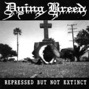 Der musikalische text CARVED von DYING BREED ist auch in dem Album vorhanden Represed but not extinct (1994)