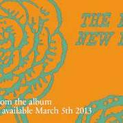 Der musikalische text BIRD SONG von THE MEN ist auch in dem Album vorhanden New moon (2013)
