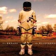 Der musikalische text HARVEST von K.S. RHOADS ist auch in dem Album vorhanden The wilderness (2013)