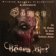 Der musikalische text DER DÄMON IN MIR von BLOKKMONSTA ist auch in dem Album vorhanden Böses blut (2007)