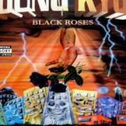 Der musikalische text HAIL OF BULLETS von YOUNG KYOZ ist auch in dem Album vorhanden Black roses (2000)