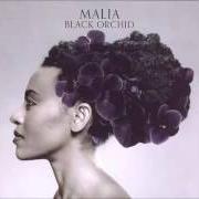 Der musikalische text I LOVE YOU PORGY von MALIA ist auch in dem Album vorhanden Black orchid (2012)