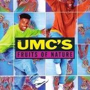Der musikalische text IT'S GONNA LAST von UMC'S ist auch in dem Album vorhanden Fruits of nature (1991)