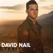 Der musikalische text KISS YOU TONIGHT von DAVID NAIL ist auch in dem Album vorhanden I'm a fire (2014)