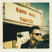 Der musikalische text NIGHT'S ON FIRE von DAVID NAIL ist auch in dem Album vorhanden Fighter (2016)
