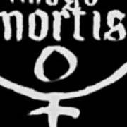Der musikalische text SANGUE E DOR von IMAGO MORTIS ist auch in dem Album vorhanden Transcendental (2006)