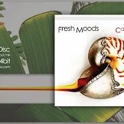 Der musikalische text SENSES von FRESH MOODS ist auch in dem Album vorhanden Carbon islands (2013)