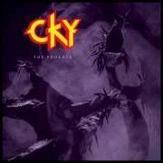 Der musikalische text DAYS OF SELF DESTRUCTION von CKY ist auch in dem Album vorhanden The phoenix (2017)