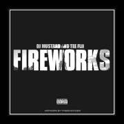 Der musikalische text FUCKIN ON THE FLOOR von TEEFLII ist auch in dem Album vorhanden Fireworks (2013)