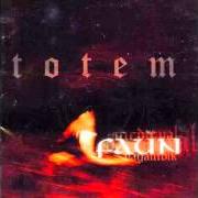 Der musikalische text SIEBEN von FAUN ist auch in dem Album vorhanden Totem (2007)