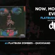 Der musikalische text BLESSINGS von FLATBUSH ZOMBIES ist auch in dem Album vorhanden Now, more than ever (2020)