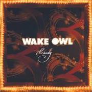 Der musikalische text VACATION von WAKE OWL ist auch in dem Album vorhanden The private world of paradise (2014)