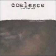 Der musikalische text STILL IT SELLS von COALESCE ist auch in dem Album vorhanden Give them rope (2000)