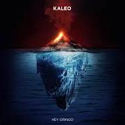 Der musikalische text HEY GRINGO von KALEO ist auch in dem Album vorhanden Surface sounds (2021)
