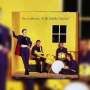 Der musikalische text BOSNIA von THE CRANBERRIES ist auch in dem Album vorhanden To the faithful departed (1995)