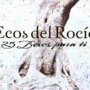 Der musikalische text LA DESPEDIDA von ECOS DEL ROCÍO ist auch in dem Album vorhanden 25 besos para ti (2007)