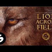 Der musikalische text THE LION von KSHMR ist auch in dem Album vorhanden The lion across the field (2016)