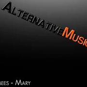 Der musikalische text MARY von THE MACCABEES ist auch in dem Album vorhanden Colour it in (2007)