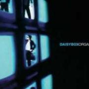 Der musikalische text EX-VITAMINE von DAISYBOX ist auch in dem Album vorhanden Organic (2002)