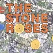 Der musikalische text DON'T STOP von THE STONE ROSES ist auch in dem Album vorhanden The stone roses (2004)
