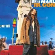 Der musikalische text CATCH A FIRE von DAMIAN MARLEY ist auch in dem Album vorhanden Halfway tree (2001)