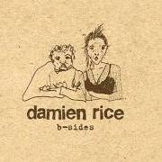 Der musikalische text THE PROFESSOR von DAMIEN RICE ist auch in dem Album vorhanden B-Sides (2004)
