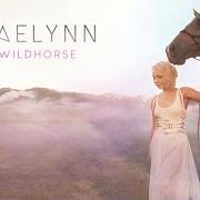 Der musikalische text LOVE TRIANGLE von RAELYNN ist auch in dem Album vorhanden Wildhorse (2017)