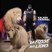 Der musikalische text DANS LA FOSSE von KALASH CRIMINEL ist auch in dem Album vorhanden La fosse aux lions (réédition) (2019)